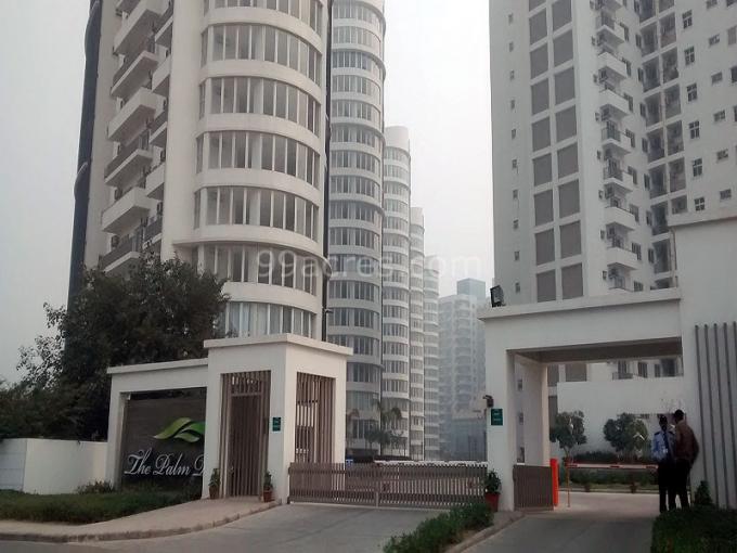 Palm Drive 1950 Sq.Ft. 3 Semi Furnished Apartment Lease Sector 66 Gurgaon